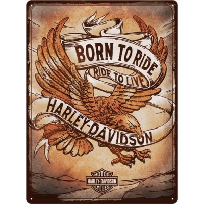 Harley Davidson Szyld Tablica 30x40cm Born to Ride