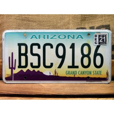 Arizona Tablica Rejestracyjna USA Szyld Rejestracja BSC9186