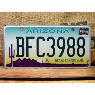 Arizona Tablica Rejestracyjna USA Szyld Rejestracja BFC3988