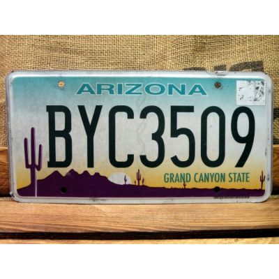 Arizona Tablica Rejestracyjna USA Szyld Rejestracja BYC3509