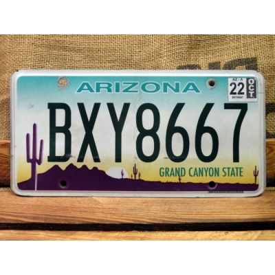 Arizona Tablica Rejestracyjna USA Szyld Rejestracja BXY8667