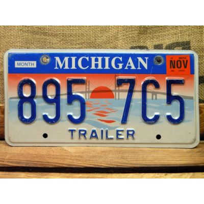 Michigan Tablica Rejestracyjna USA Szyld Rejestracja 895 7C5