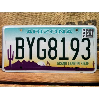 Arizona Tablica Rejestracyjna USA Szyld Rejestracja BYG8193