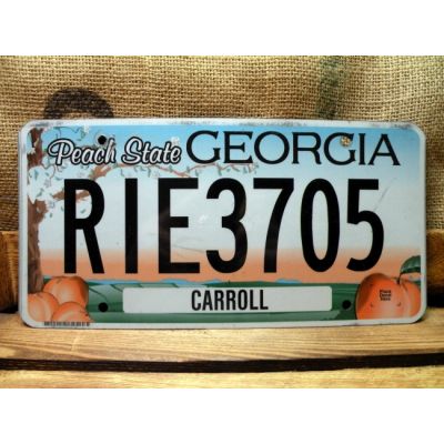 Georgia Tablica Rejestracyjna USA Szyld Rejestracja RIE3705