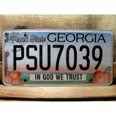 Georgia Tablica Rejestracyjna USA Szyld Rejestracja PSU7039