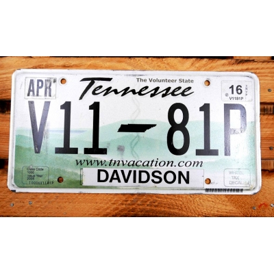 Tennessee The Volunteer State Davidson Tablica Rejestracyjna USA