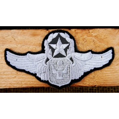 Skrzydła USA Wojskowa Naszywka Patch Badge Military U.S. Army  Gwiazda
