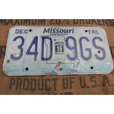 Missouri Tablica Rejestracyjna USA Szyld Rejestracja 34D9GS