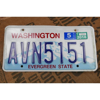 Washington Tablica Rejestracyjna USA Szyld Rejestracja AVN5151