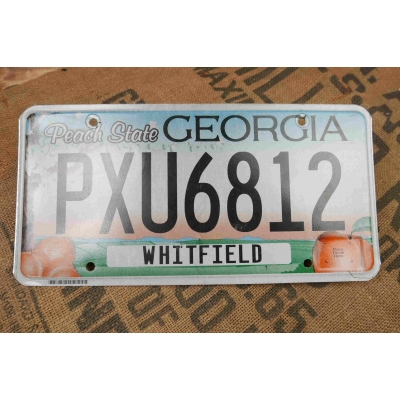 Georgia Tablica Rejestracyjna USA Szyld Rejestracja PXU6812