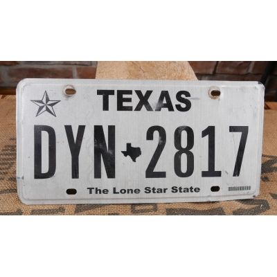 Texas Tablica Rejestracyjna USA DYN2817