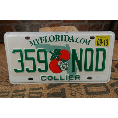 Florida Floryda Tablica Rejestracyjna USA Szyld Rejestracja 359NQD