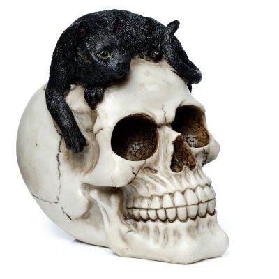 Czarny Kot Czacha Czaszka Skull