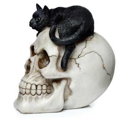 Czarny Kot Czacha Czaszka Skull