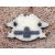 HOG Harley Owners Group Orzeł Znaczek Metalowy Wpinka Blacha Pin