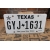 Texas The Lone Star State Tablica Rejestracyjna USA GYJ1631