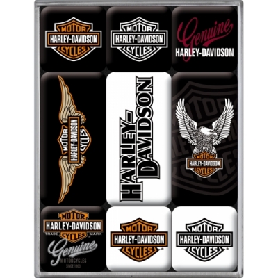 Harley Davidson Magnesy