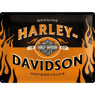 Harley Davidson 1903 Tablica Szyld 30x40 płomienie